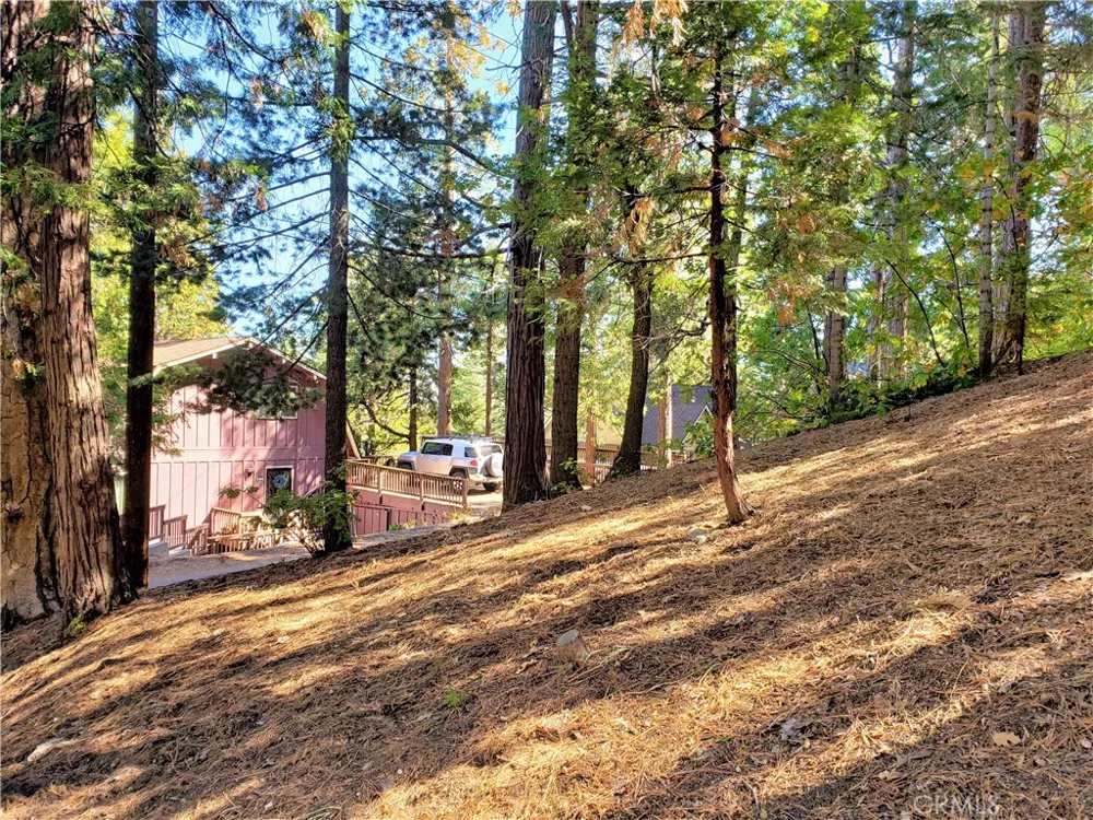 330 Castle Gate Road Lake Arrowhead, CA 92352