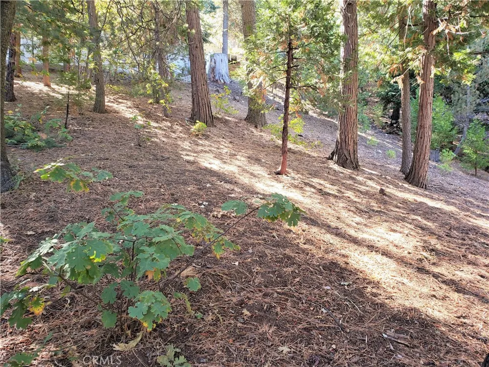 330 Castle Gate Road Lake Arrowhead, CA 92352