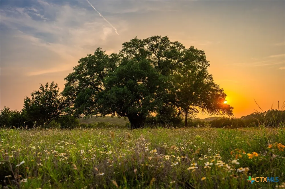2170 County Road 228 Hico, TX 76457