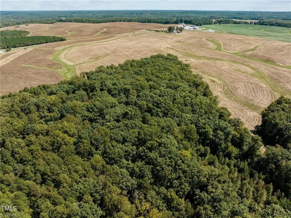 17.03 ac 0 New Mayo Drive Roxboro, NC 27574
