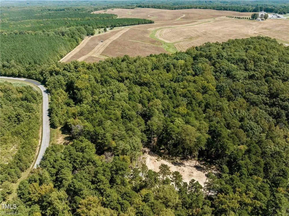 17.03 ac 0 New Mayo Drive Roxboro, NC 27574