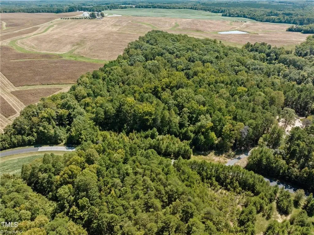 17.03 ac 0 New Mayo Drive Roxboro, NC 27574