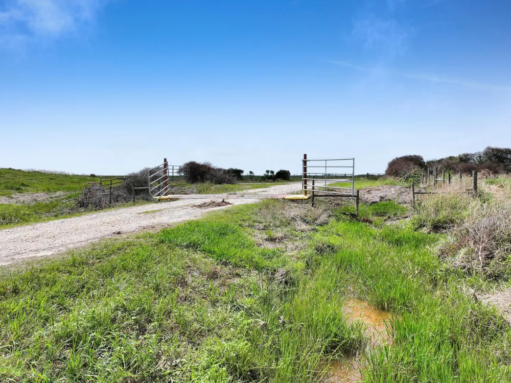Needmore Road Beaumont, TX 77705