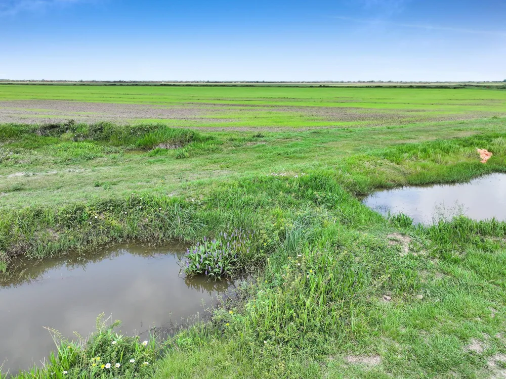 Needmore Road Beaumont, TX 77705