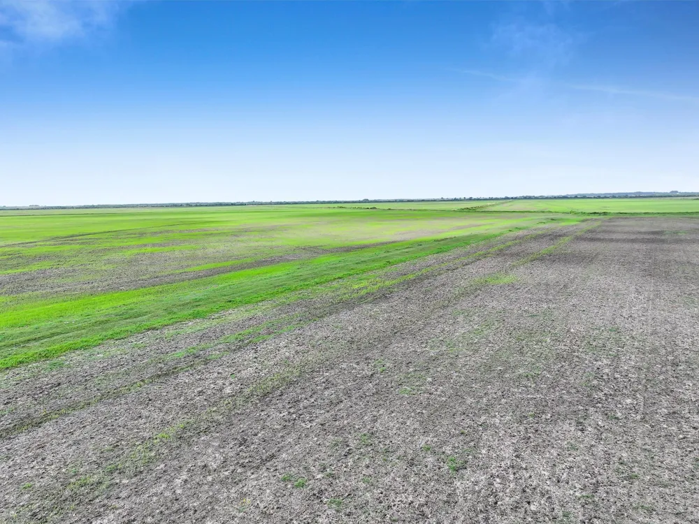 Needmore Road Beaumont, TX 77705