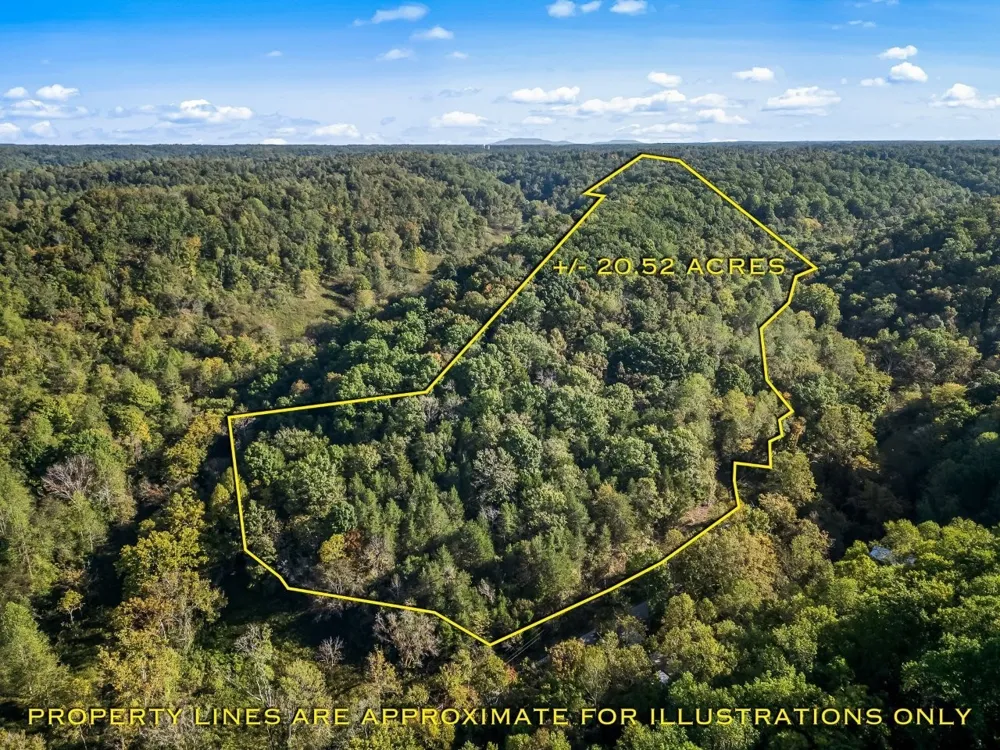 1979 Norton Branch Road Beechgrove, TN 37018