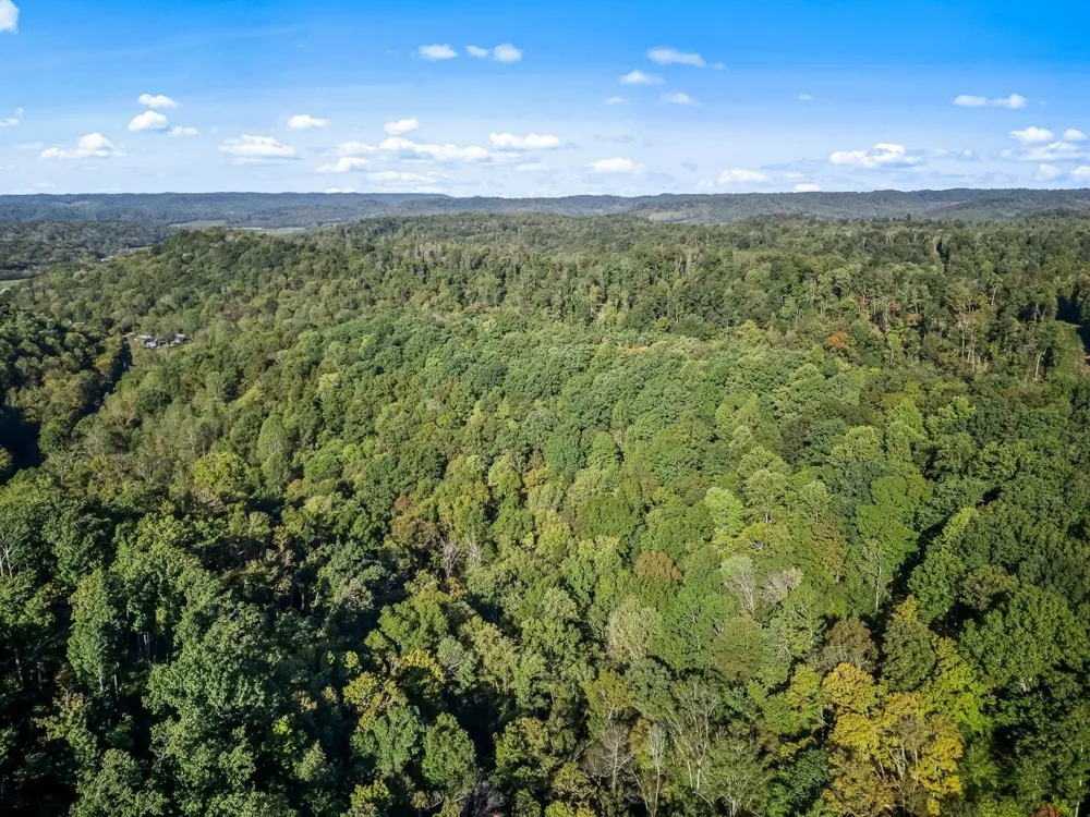 1979 Norton Branch Road Beechgrove, TN 37018