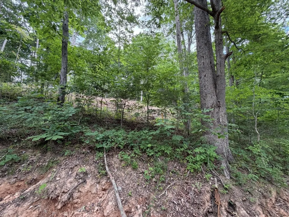 1979 Norton Branch Road Beechgrove, TN 37018