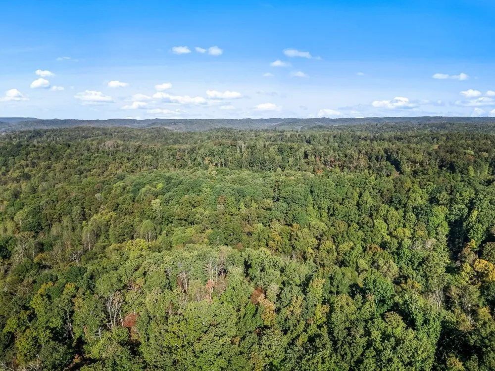1979 Norton Branch Road Beechgrove, TN 37018