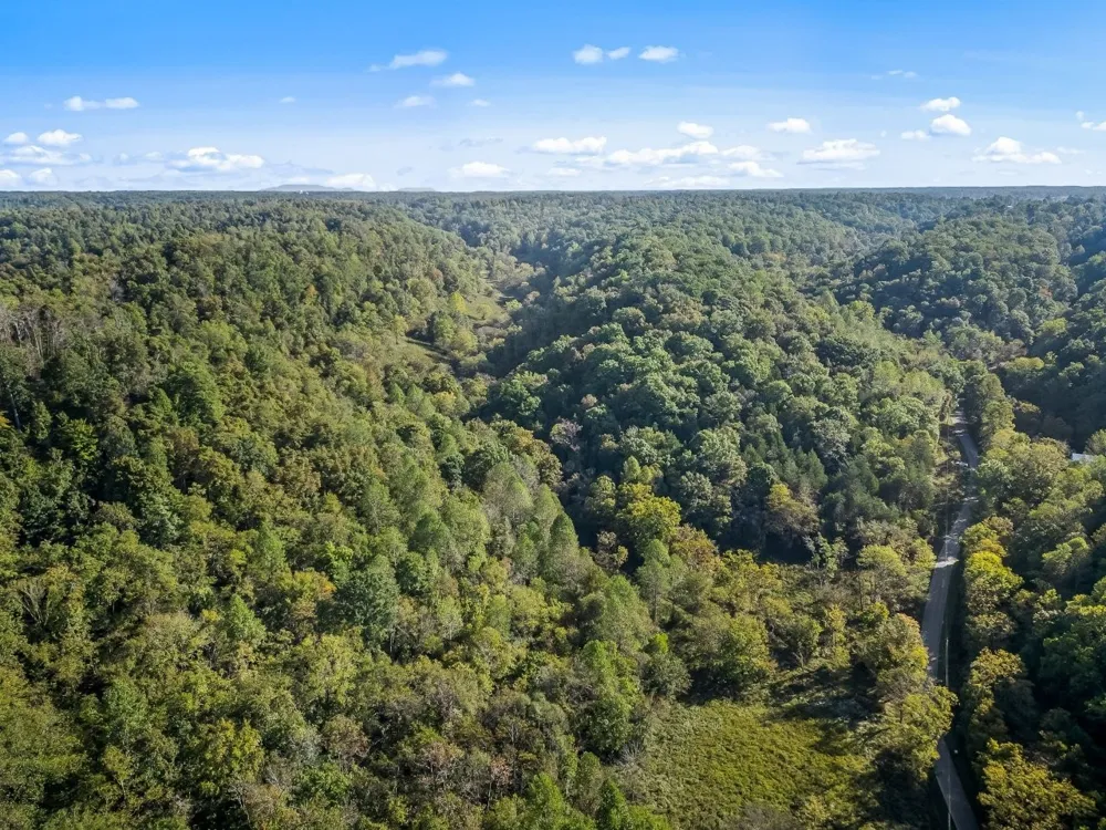 1979 Norton Branch Road Beechgrove, TN 37018