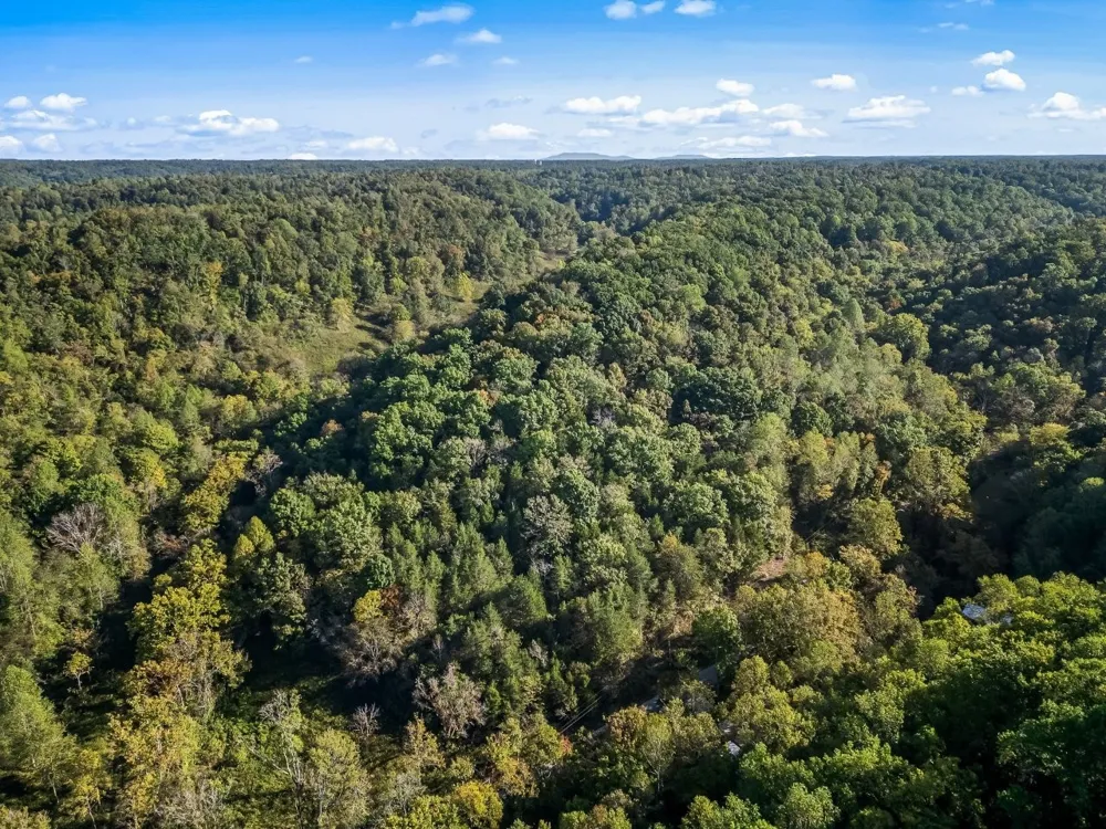 1979 Norton Branch Road Beechgrove, TN 37018