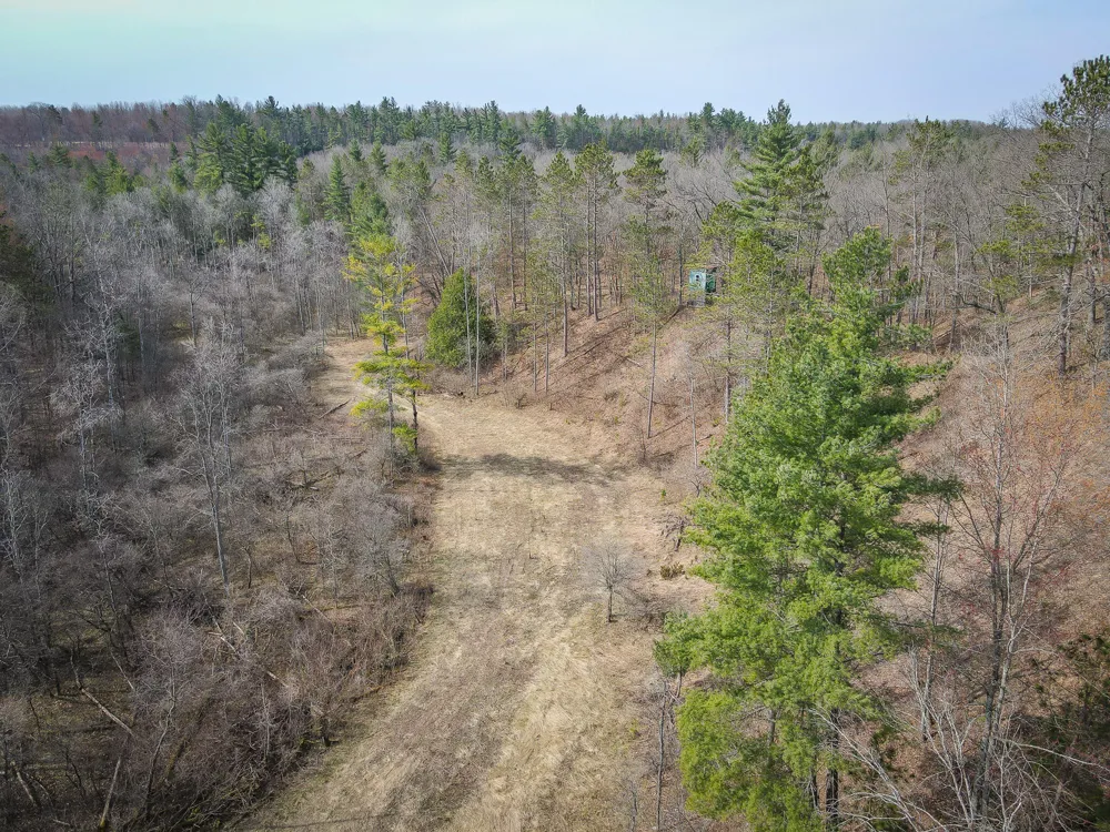 9184 M-37 Wellston, MI 49689