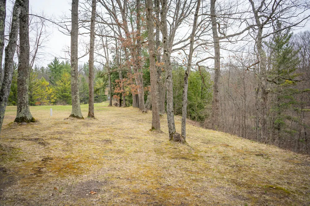 9184 M-37 Wellston, MI 49689