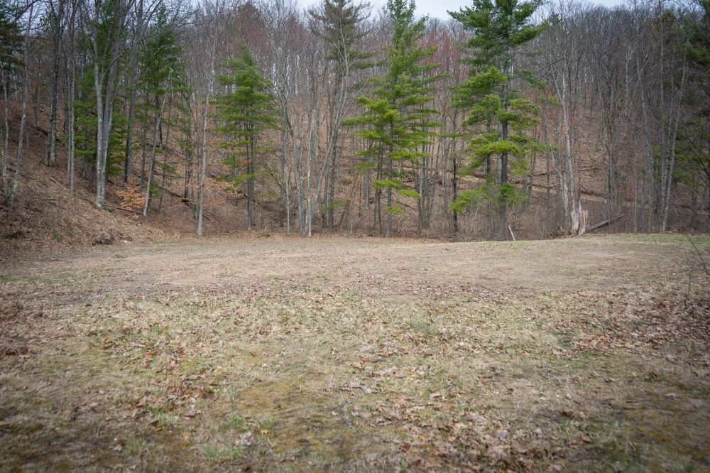9184 M-37 Wellston, MI 49689