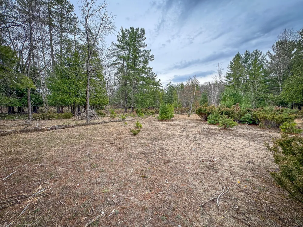 9184 M-37 Wellston, MI 49689