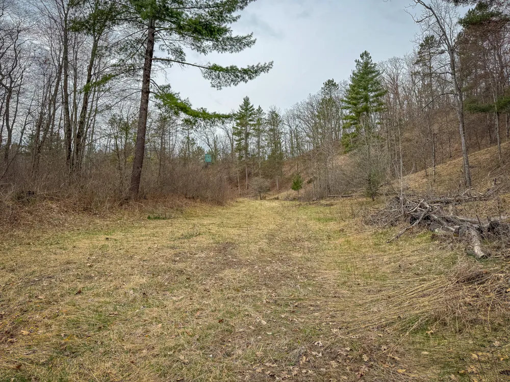 9184 M-37 Wellston, MI 49689