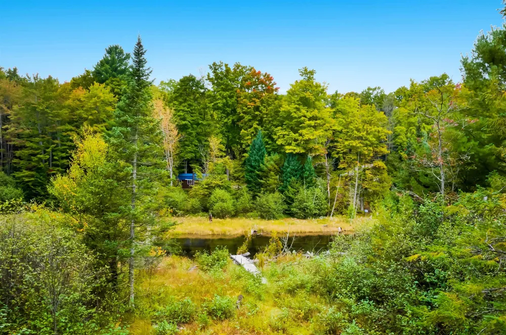 5635 Mystic Drive Chestonia Township, MI 49659