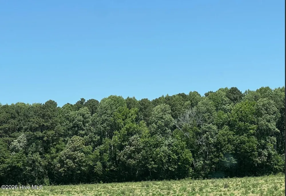 Tbd Highway S Camden, NC 27921