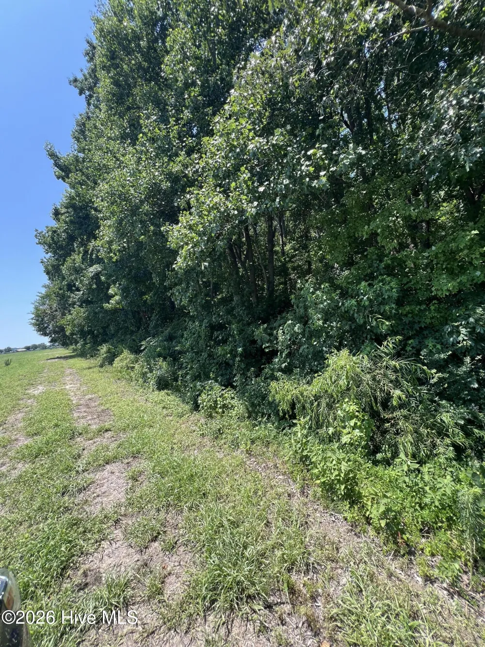 Tbd Highway S Camden, NC 27921