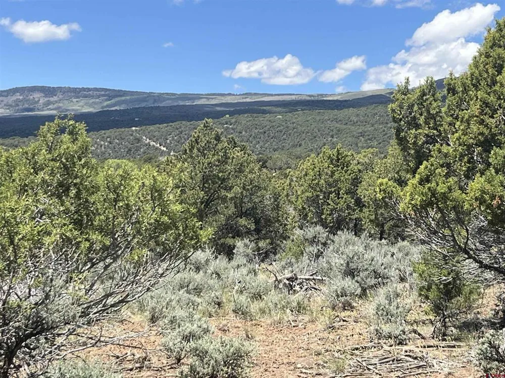 Green Valley Road Cedaredge, CO 81413