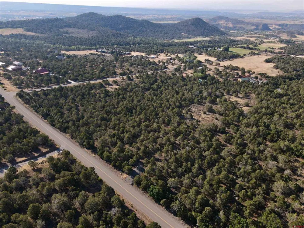Green Valley Road Cedaredge, CO 81413