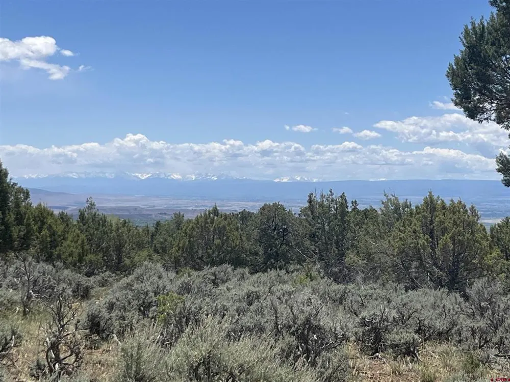 Green Valley Road Cedaredge, CO 81413