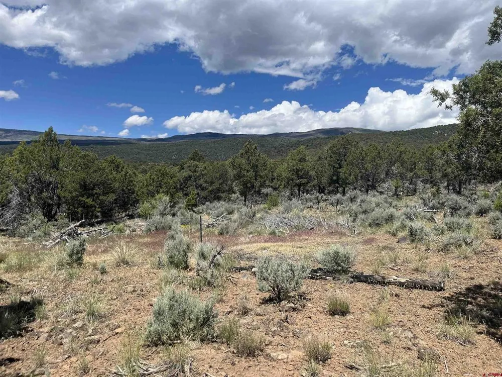 Green Valley Road Cedaredge, CO 81413