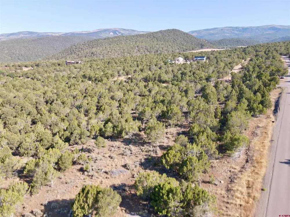 Green Valley Road Cedaredge, CO 81413