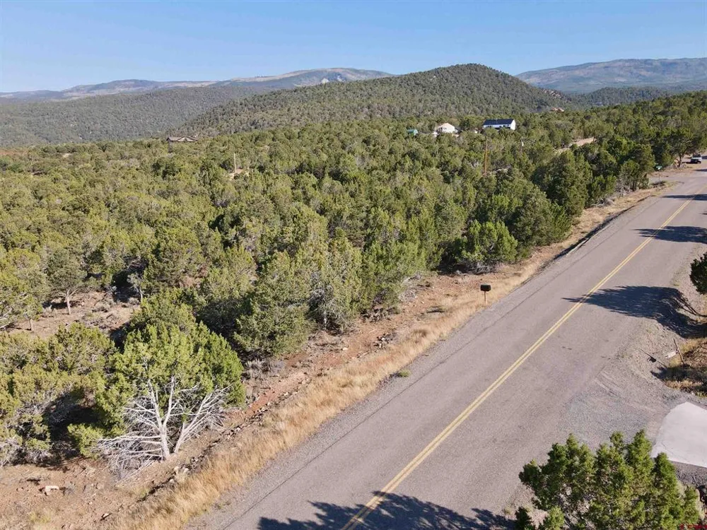 Green Valley Road Cedaredge, CO 81413
