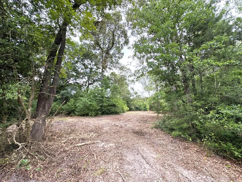704 E Elder Street Colmesneil, TX 75938