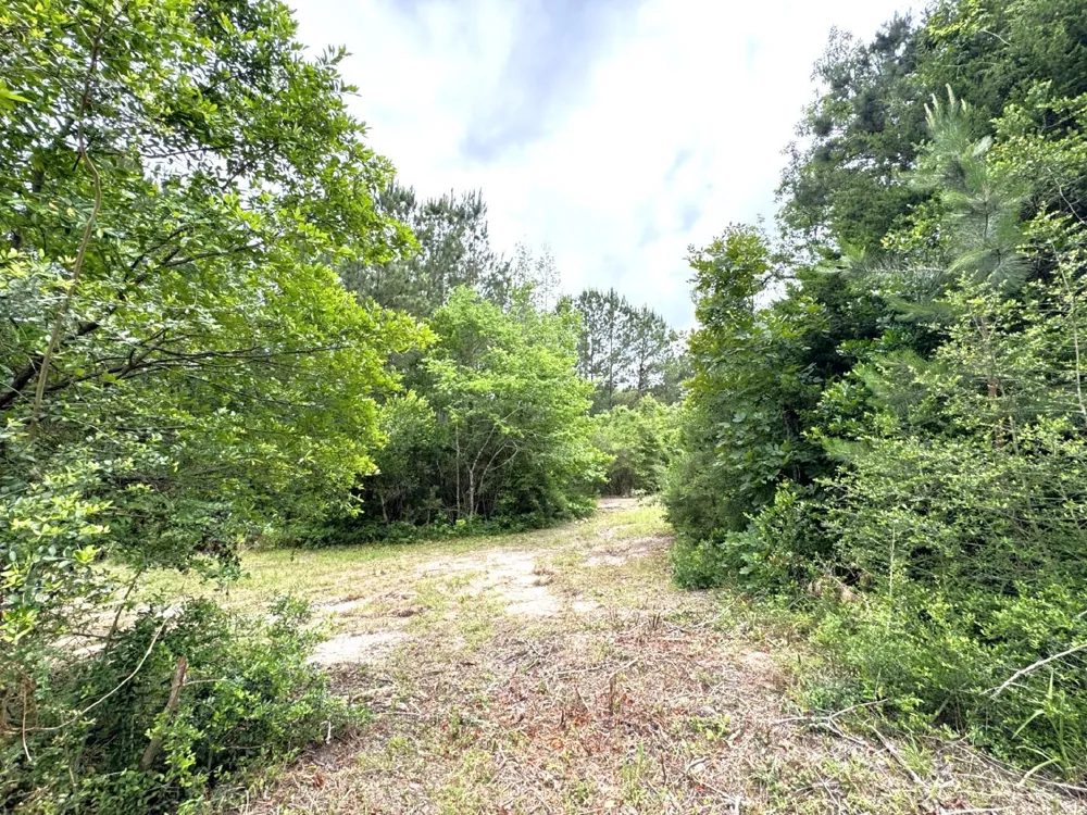704 E Elder Street Colmesneil, TX 75938