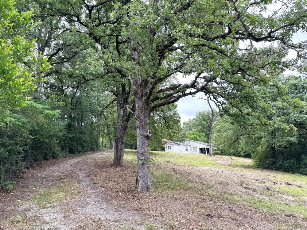 704 E Elder Street Colmesneil, TX 75938