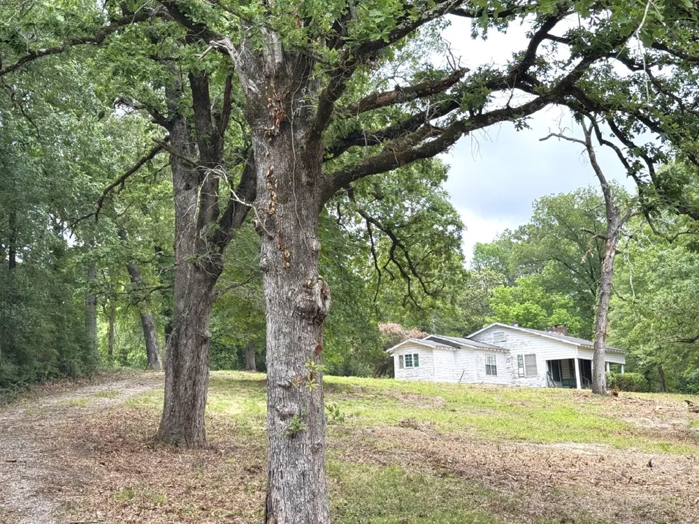704 E Elder Street Colmesneil, TX 75938