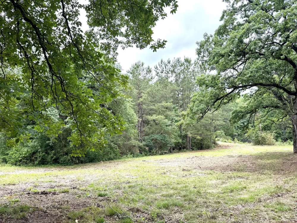 704 E Elder Street Colmesneil, TX 75938