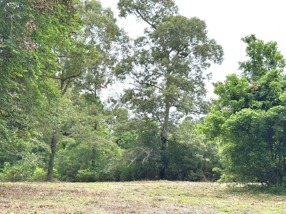 704 E Elder Street Colmesneil, TX 75938