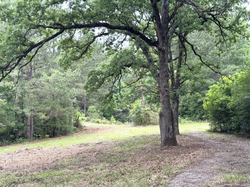 704 E Elder Street Colmesneil, TX 75938