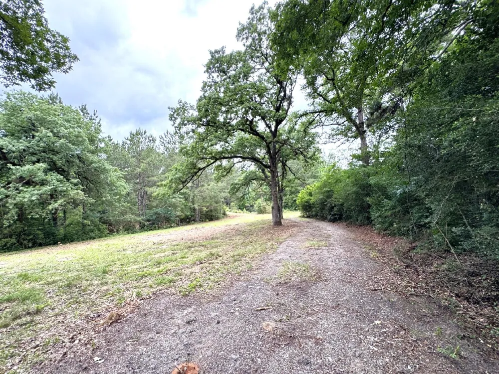 704 E Elder Street Colmesneil, TX 75938