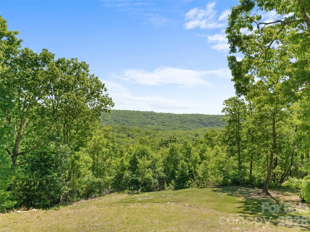 852 Marshall Ridge Road Edneyville, NC 28792