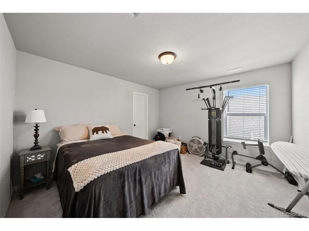 8412 Noreen Falls Drive Colorado Springs, CO 80924
