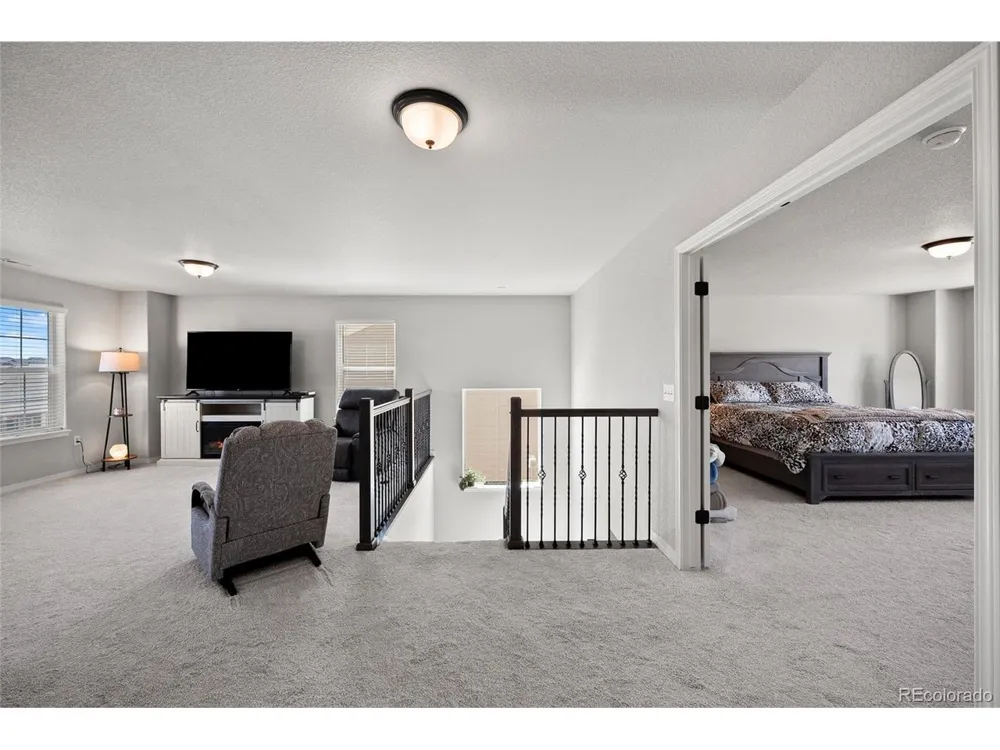 8412 Noreen Falls Drive Colorado Springs, CO 80924