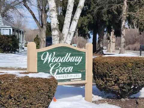 41276 Woodbury Green Drive