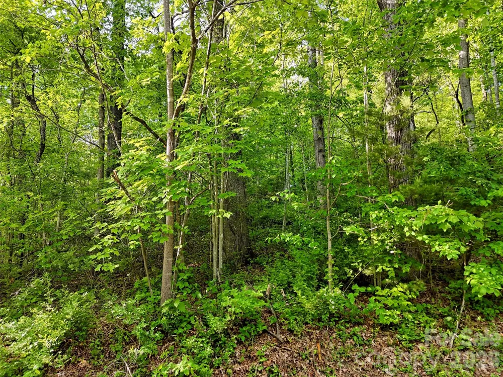 00 Junaluska Oaks Drive Waynesville, NC 28786