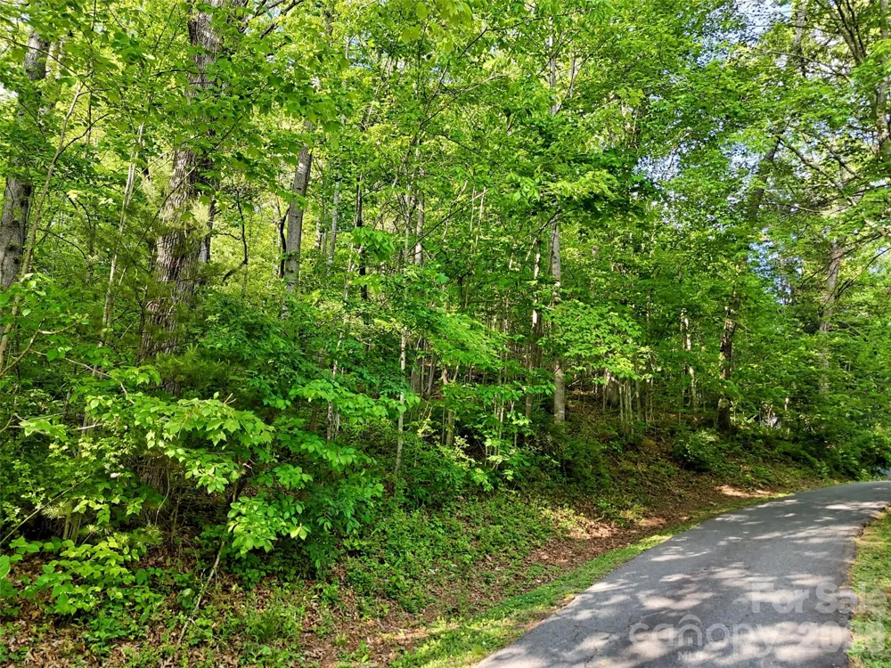 00 Junaluska Oaks Drive Waynesville, NC 28786