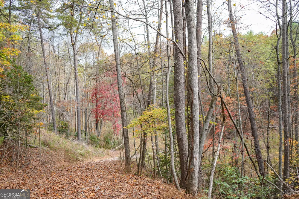 0 Rizzitello LN Blairsville, GA 30512