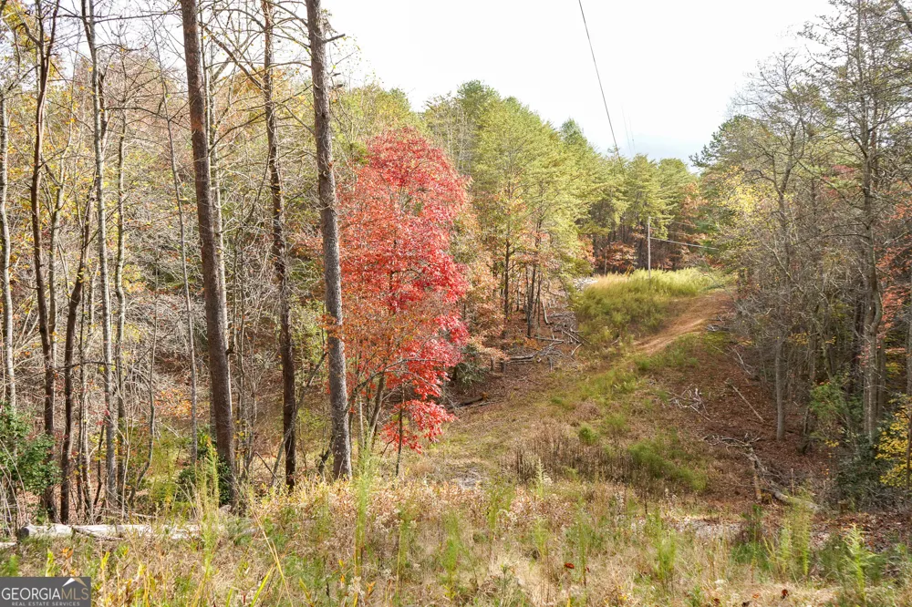 0 Rizzitello LN Blairsville, GA 30512
