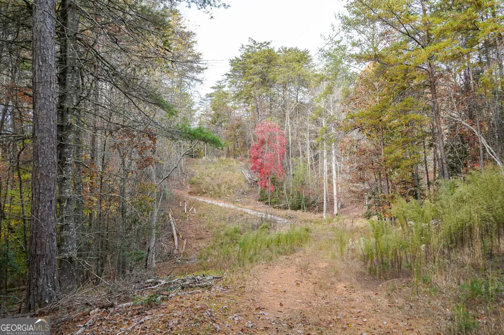 0 Rizzitello LN Blairsville, GA 30512