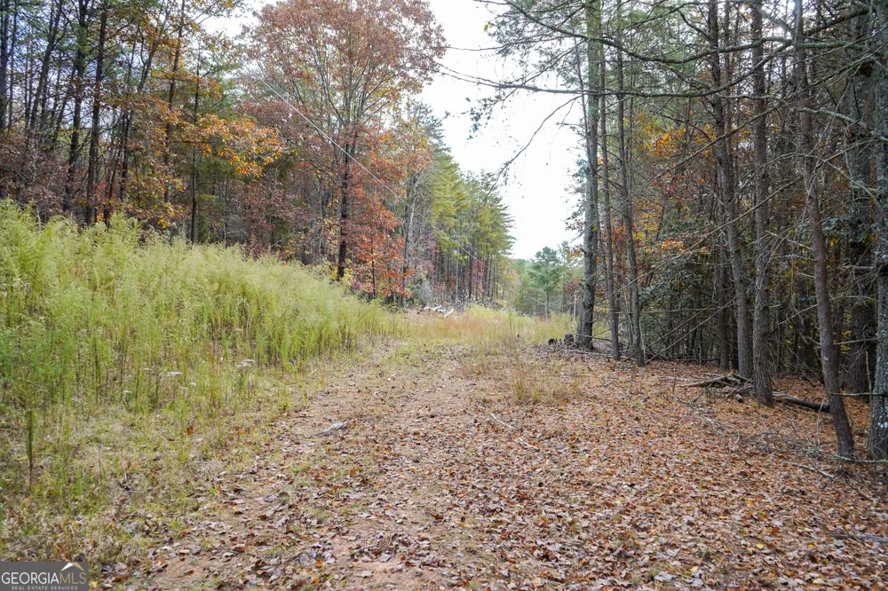 0 Rizzitello LN Blairsville, GA 30512