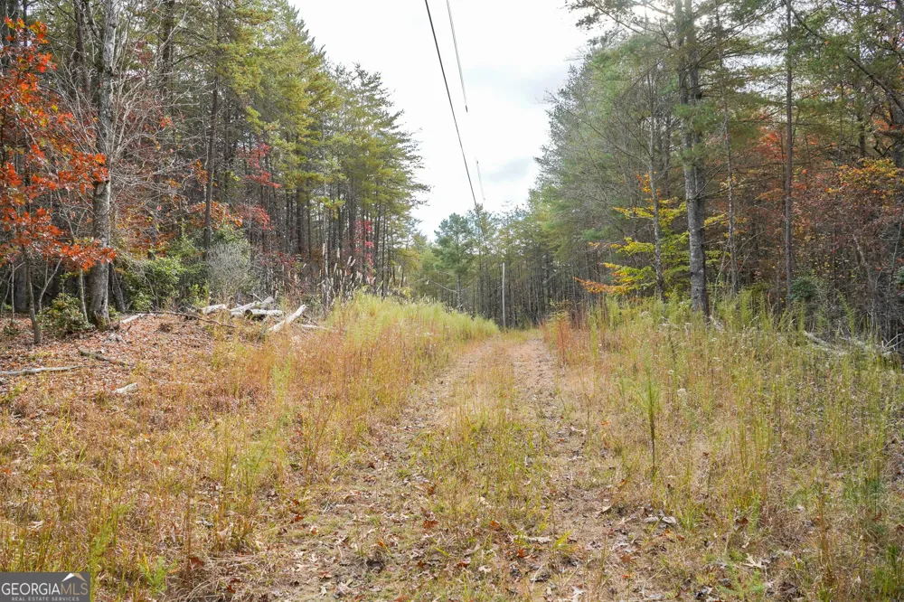 0 Rizzitello LN Blairsville, GA 30512