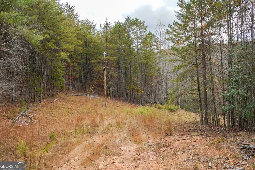 0 Rizzitello LN Blairsville, GA 30512