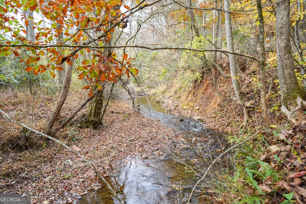 0 Rizzitello LN Blairsville, GA 30512